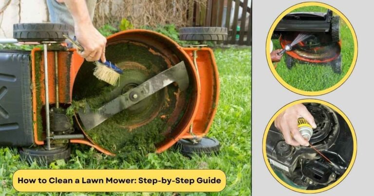 How to Clean a Lawn Mower: Step by Step Guide