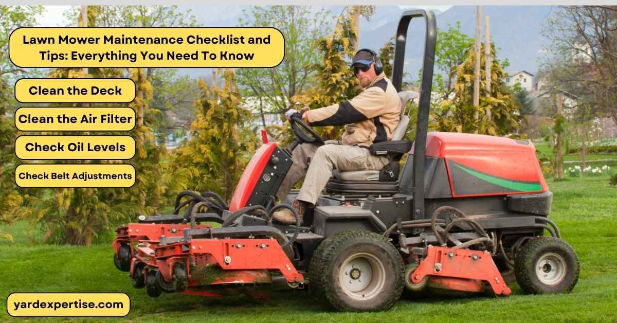 Lawn Mower Maintenance Checklist and Tips: Everything You Need To Know