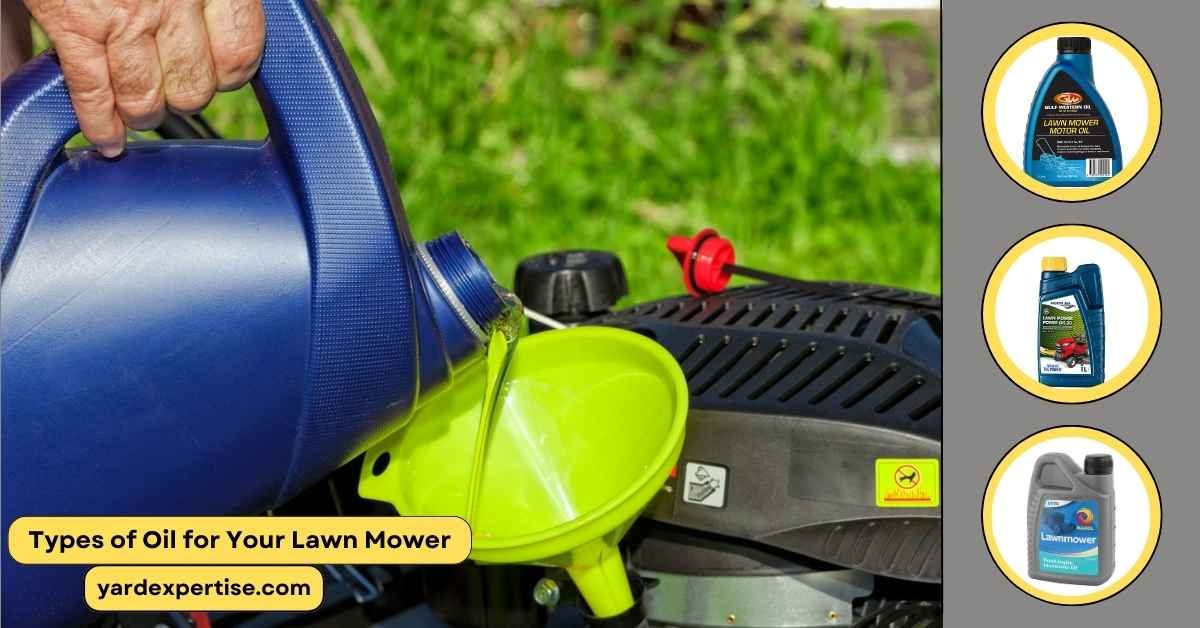 Types of Oil for Your Lawn Mower