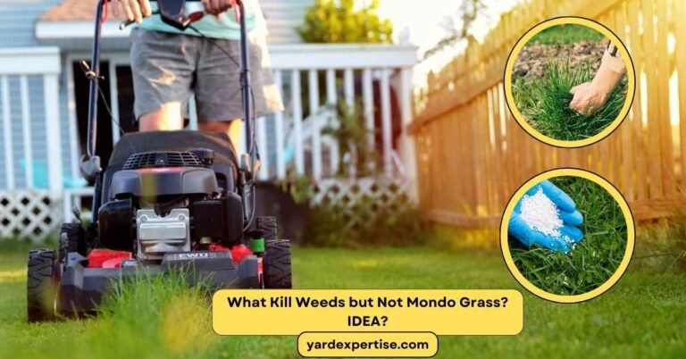 What Kill Weeds but Not Mondo Grass?