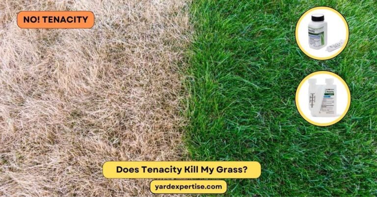 Does Tenacity Kill My Grass