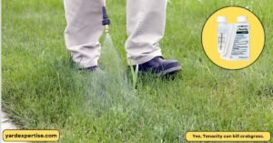 Tenacity Kill Crabgrass